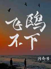 纸飞机潭石小说